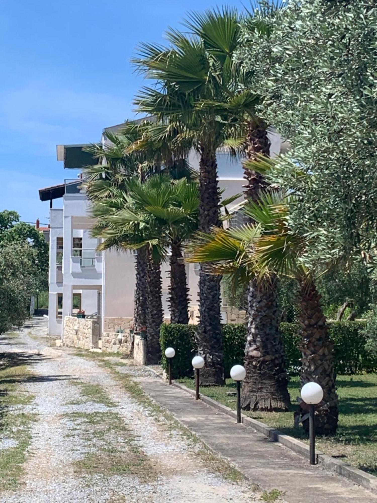 Villa Evita , Penthouse, 53M2 ,Athytos 450M From The Beach Афітос Екстер'єр фото